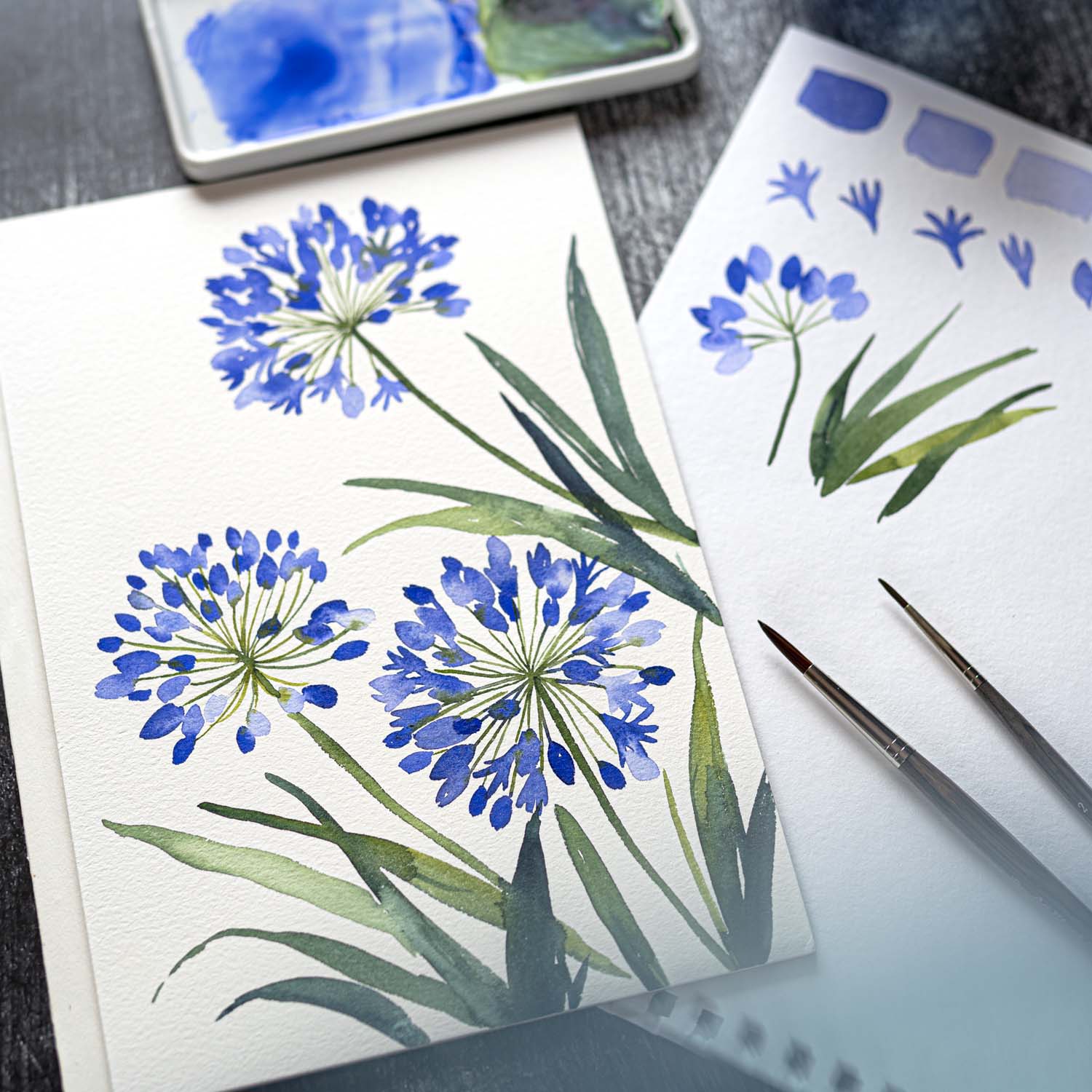 watercolor_workshop_agapanthus